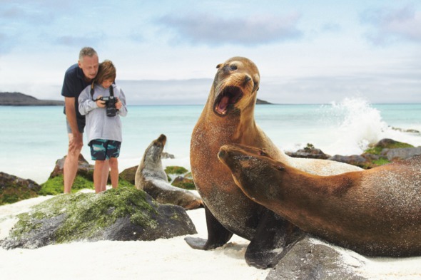 Viewing sea lions on a family holiday to the Galapagos