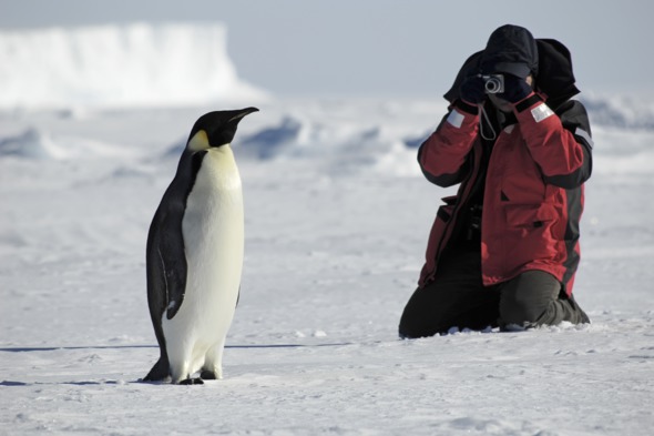 Photographer and penguin in Antarctica