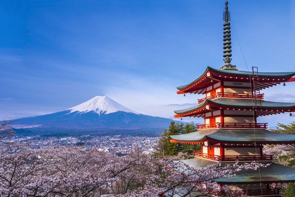 Mount Fuji and cherry blossom, Japan