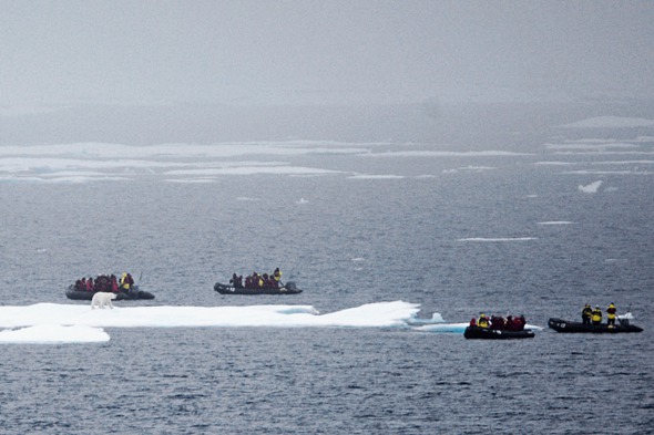 Arctic ice and polar bears in the Northwest Passage - Crystal Cruises