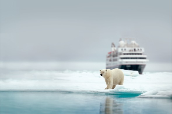 Silver Explorer in the Arctic