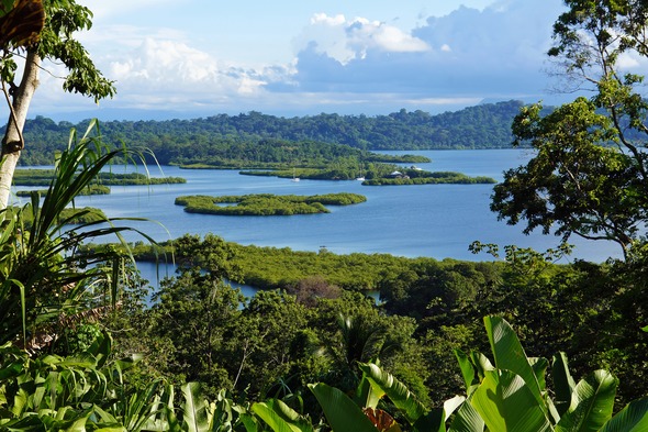 Bocas del Toro archipelago, Panama