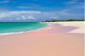 Pink sand beach on Barbuda