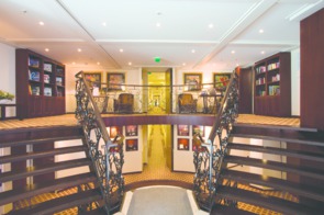 AmaDante Reception