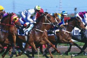 Melbourne Cup